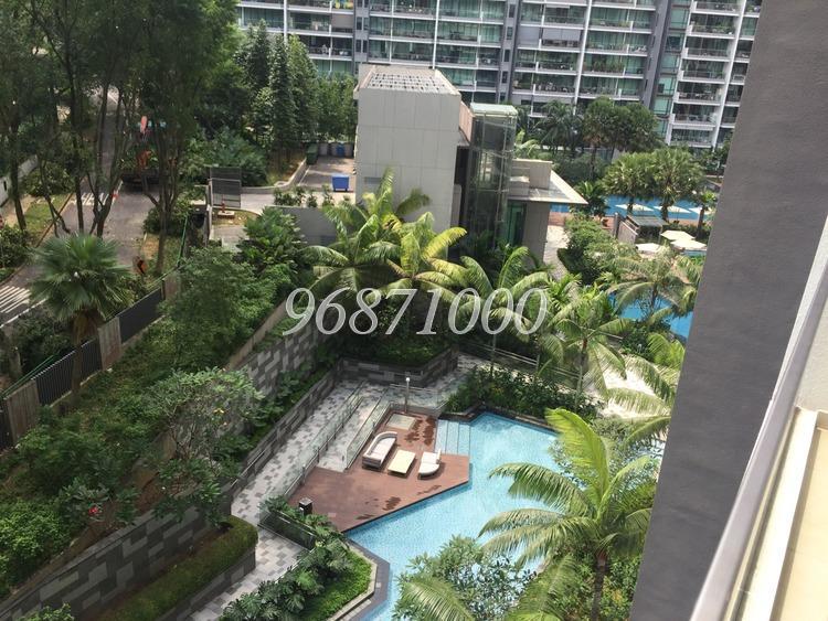 Parvis thumbnail photo